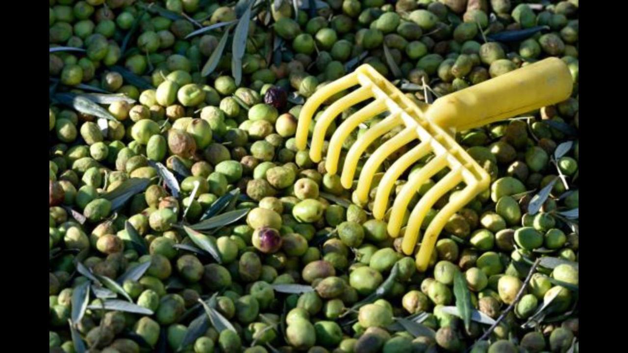 Hebergements Des Posas Sampzon Esterno foto